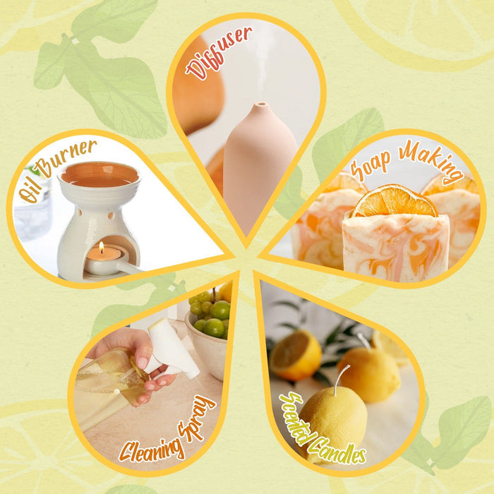 Citrus Burst Diffuser Oils Set - SALKING
