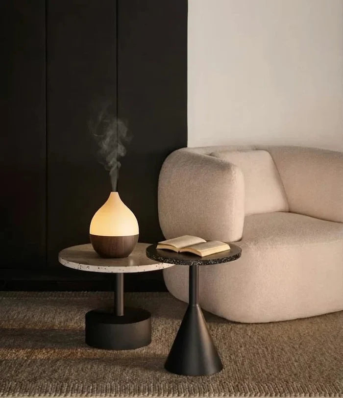 Coconut Diffuser - SALKING_Aroma Diffuser_SALKING