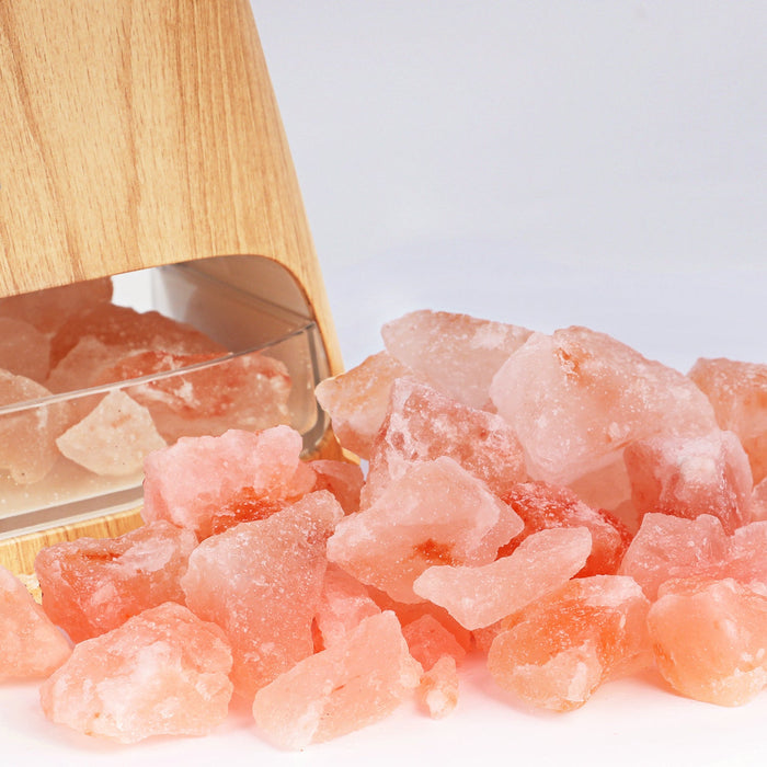 Himalayan Salt Lamp Diffuser & 12 Essential Oils Starter Bundle - SALKING