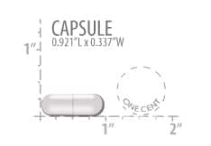 Life Extension - Super Carnosine 500 mg - 60 veg caps