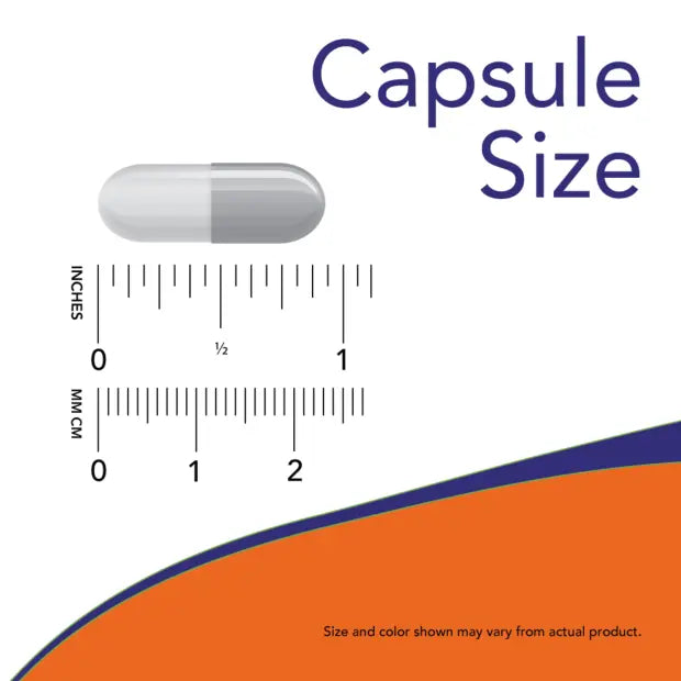 L-Carnosine 500 mg Veg Capsules NOW