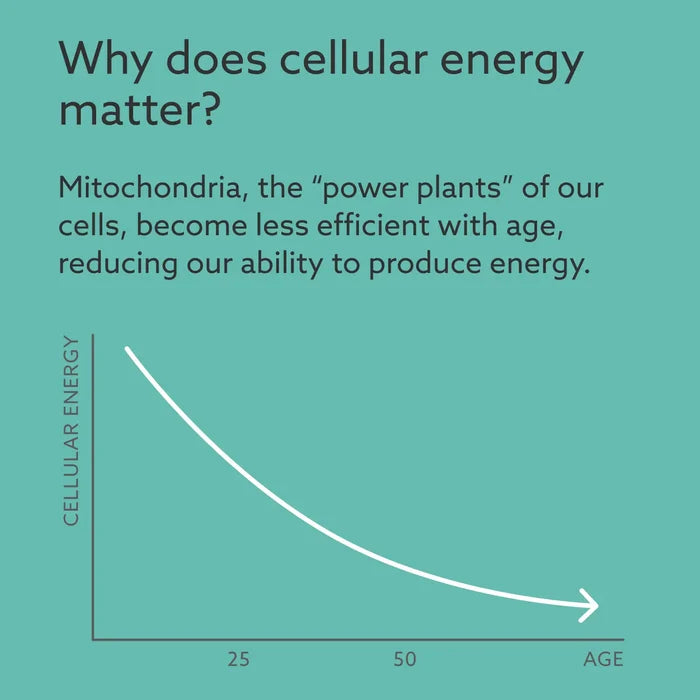 chat about cellular energy on a green background