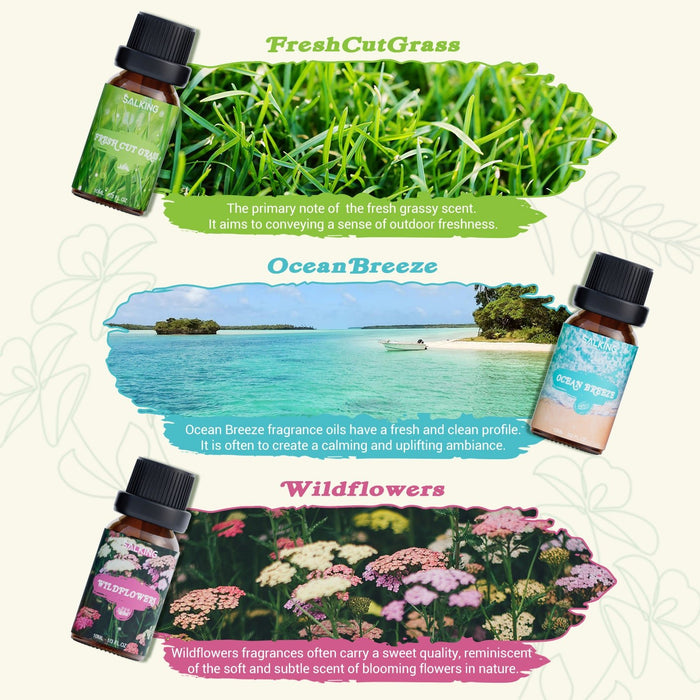 SALKING Nature Diffuser Oils Set - SALKING