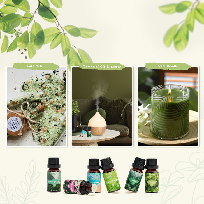 SALKING Nature Diffuser Oils Set - SALKING