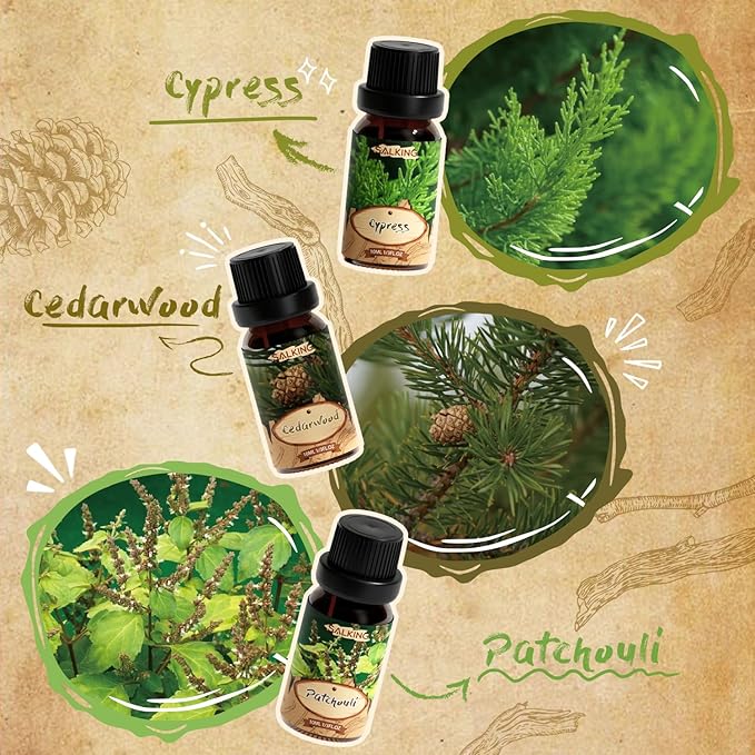 SALKING Woody Diffuser Oils Set - SALKING