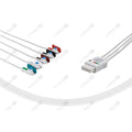 Set ECG 5 derivazioni per Datascope, pinz. DT5-90P-I