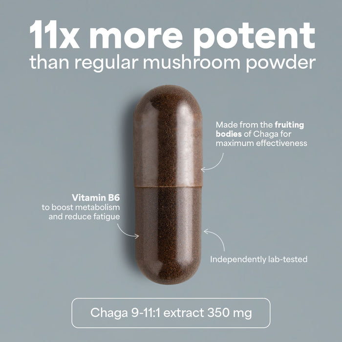 Sooo.me™ - SOOO immune: Chaga extract 9-11:1