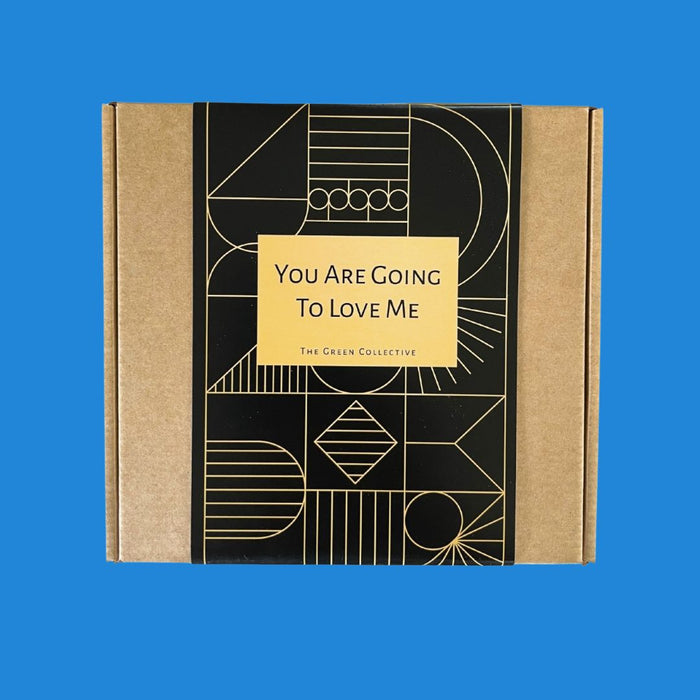 SPRUCE Dishcloth SETS - Red (10)
