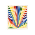 Swedish Dishcloth SPRUCE - Rainbow Collective